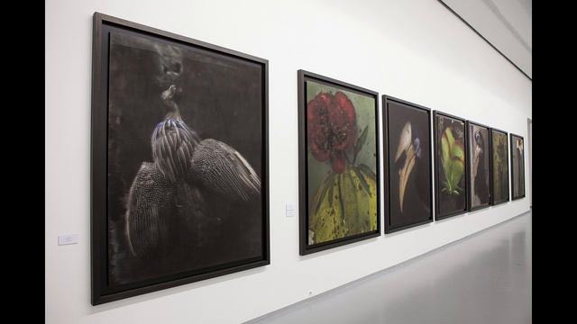 Ответы на вопросы: как настроить себя на пленэр.