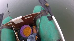 Рыбалка на Дону.Ловим сазана на фидер!