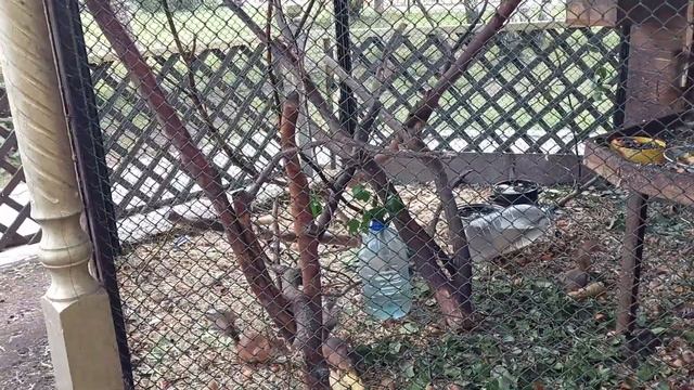 Парк Таганская слобода в Екатеринбурге 11 июня 2023 смотреть онлайн