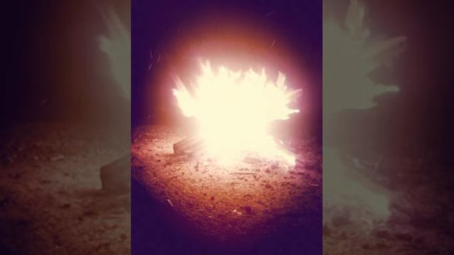 fly5olo смотреть онлайн