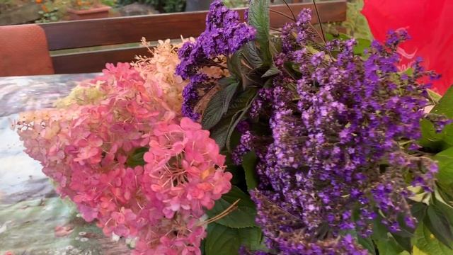 ВАСИЛИСТНИК, КЛОПОГОН, ГОРТЕНЗИИ от Надежды??? смотреть онлайн