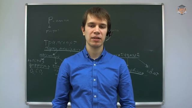 Занятие 9: Строение клеток [Подготовка к олимпиадам по биологии 10-11 класс] смотреть онлайн