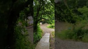 Бухта Инал, база отдыха Парк Инал обзор дороги к морю.