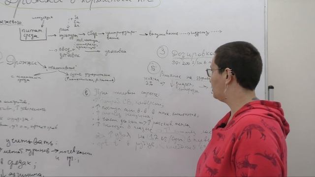 Как применять дрожжи в кормлении молочного скота и телят? смотреть онлайн