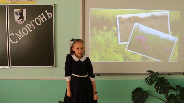 Груша Софья, учащаяся III класса ГУО «Гимназия г. Сморгони» смотреть онлайн