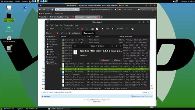 AmigaOne X5000 Patched Nanosaur Test смотреть онлайн