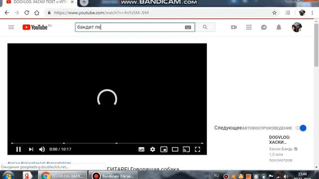 смотрим видео про хаску Бандита смотреть онлайн