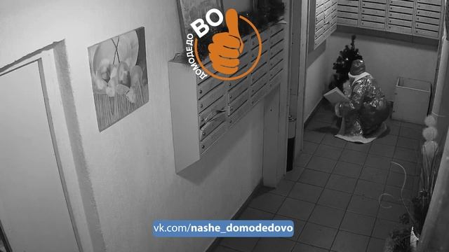 Дед Мороз в Домодедово смотреть онлайн