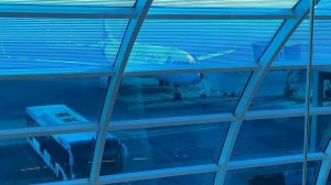 ШАРДЖА ?? ЦЕНЫ В АЭРОПОРТУ. Очень дешево! Улетаем из Арабских Эмиратов на самолете Air Arabia.