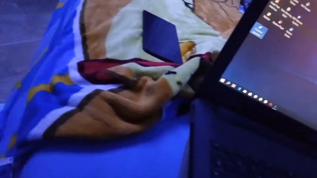 Реклама Crossout