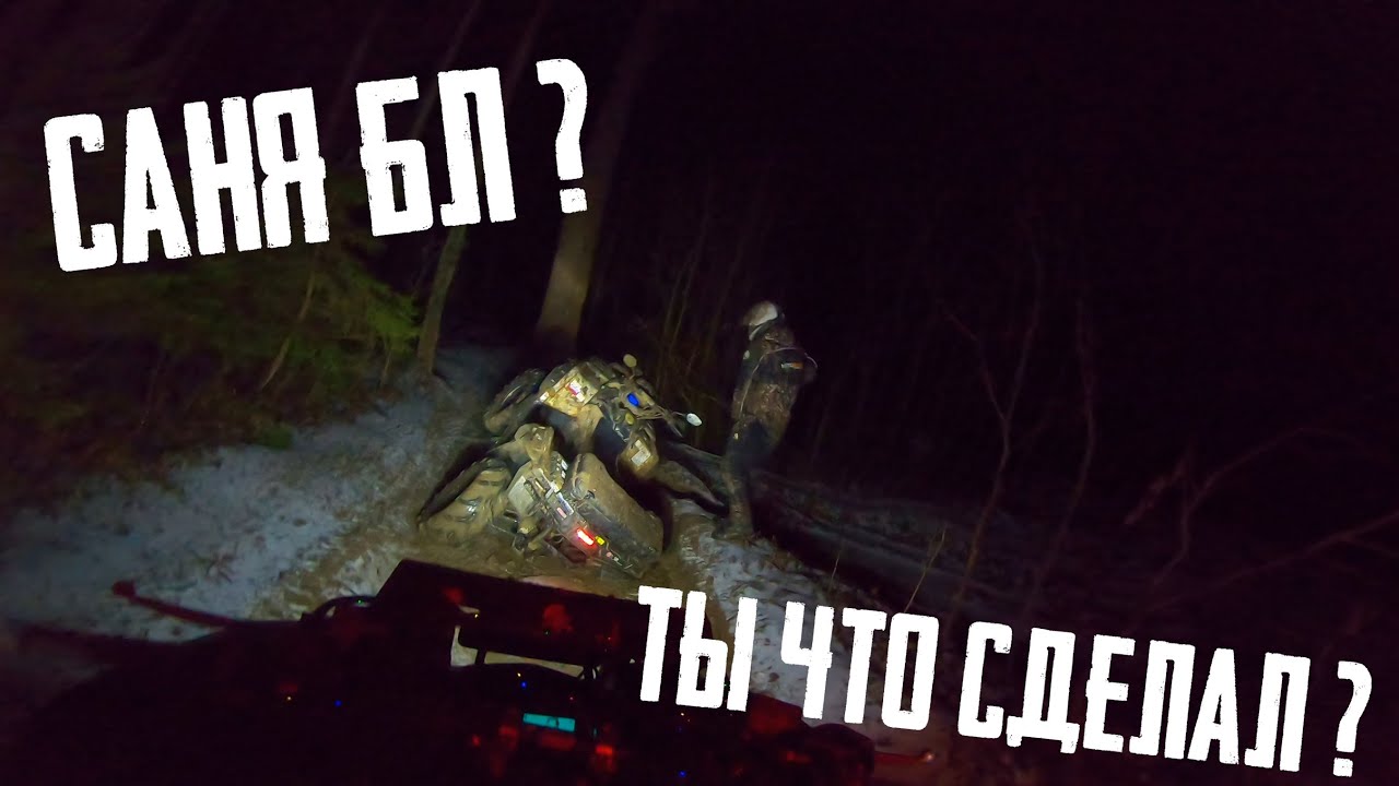 ЕСЛИ ВЗЯТЬ САНЮ НА ГЕПАРДЕ, ПРОИЗОЙДЁТ УЖАСНО-СМЕШНАЯ СИТУАЦИЯ... смотреть онлайн