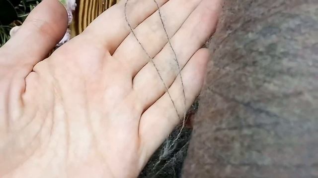 НОВЫЕ ПРОЦЕССЫ / ПУЛОВЕР ЗОЛОТАЯ ЛИХОРАДКА вязальный блог