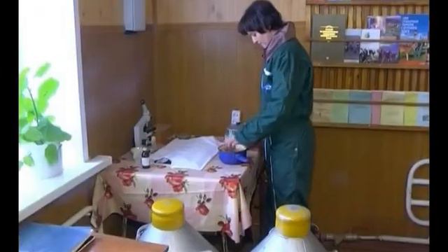 Сильные женщины смотреть онлайн