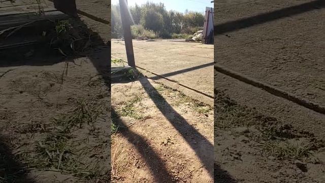 Укладка брусчатки