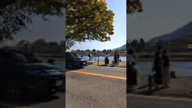 Google Pixel 8 Pro livestream test in Japan смотреть онлайн