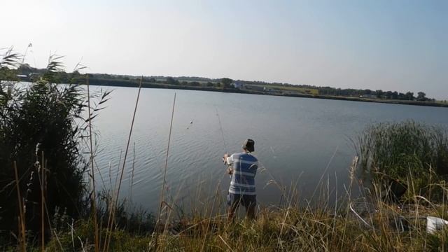 удачная рыбалка 2017. ловля толстолоба на планктон смотреть онлайн