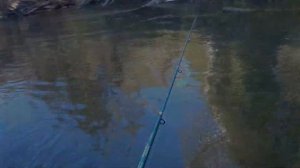 рыбалка на базаихе