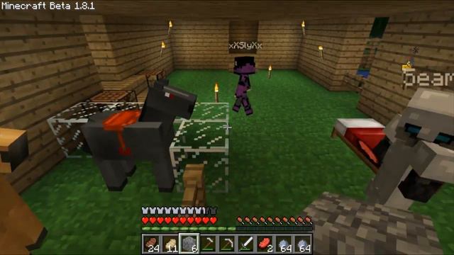 Minecraft: The Ex-Communicated Series w/Nova, SSoHPKC & Slyfox Ep.28 - Horse Breeding смотреть онлайн