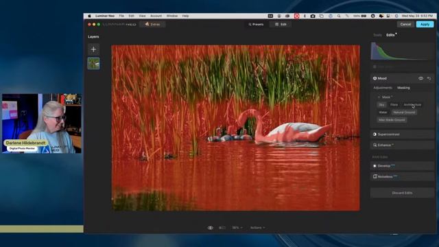 Our THIRD Learn How to Edit BIRD Photos - LIVE Photo Editing смотреть онлайн