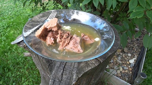 Тушёнка! Говядина тушёная Калининградская 338гр.  Без СОИ! ООО 