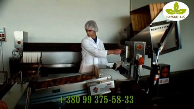 Производство натурального сока -Райский сад смотреть онлайн