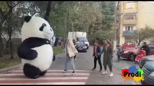 Надувной медведь | аниматор | праздник | белый медведь | день рождения | подарок | сюрприз смотреть онлайн