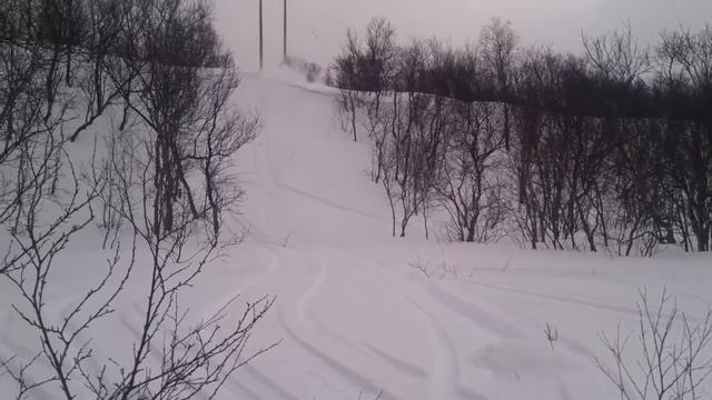 Polaris iq 550 смотреть онлайн