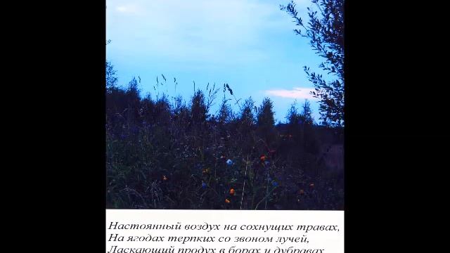 Как о природе рассказать стихами. смотреть онлайн