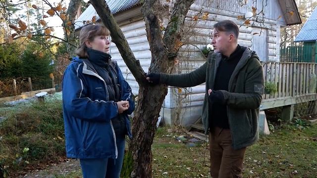 Уборка листьев, вредители, влагозарядный полив, обрезка кустов, деревьев, побелка, подзимняя посадк смотреть онлайн