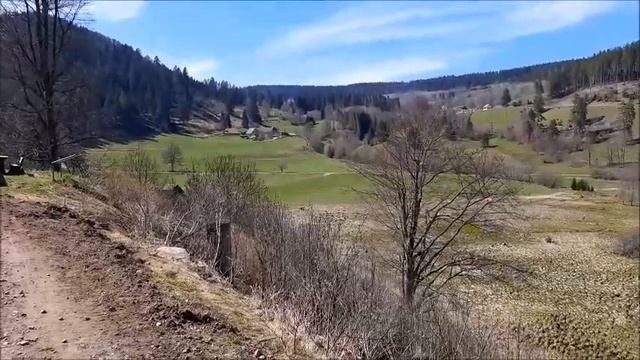 Почему сегодня нет нового видео? смотреть онлайн
