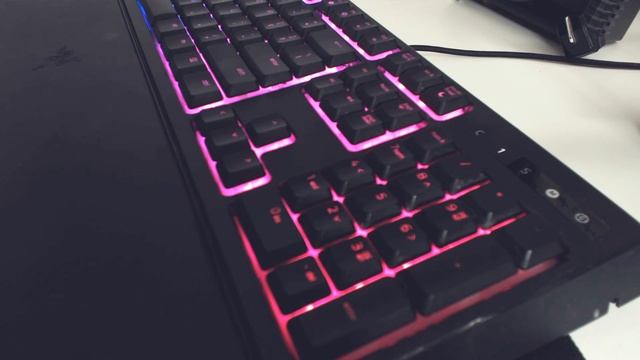 How to make the Razer Ornata Chroma (& Ornata V2) keyboard silent - remove loud clicks смотреть онлайн