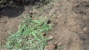 Коп 2021. Эта деревня полна богатыми фундаментами!