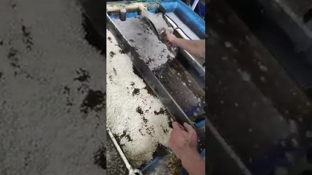 Сравнение сорбента AG-Sorb с одним из более дорогих сорбентов смотреть онлайн