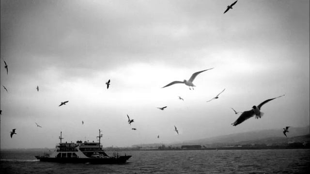 Cem Karaca - Tatlı Dillim | Nostaljik Martılar смотреть онлайн