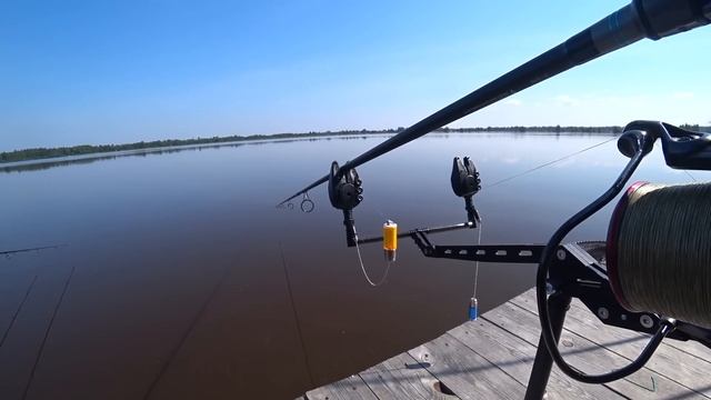 КАРПФИШИНГ 2022! ХИТРЫЕ КАРПЫ ТОРФЯНОГО ОЗЕРА! смотреть онлайн