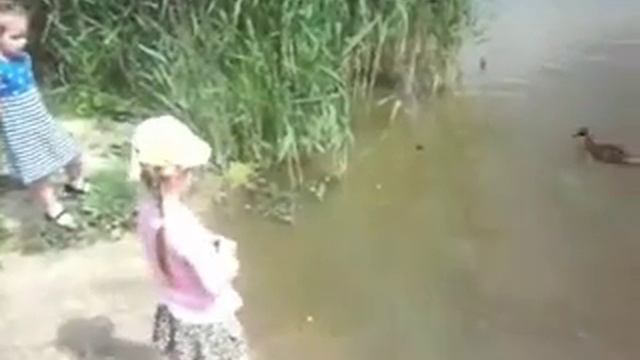 В мире животных. In fauna смотреть онлайн