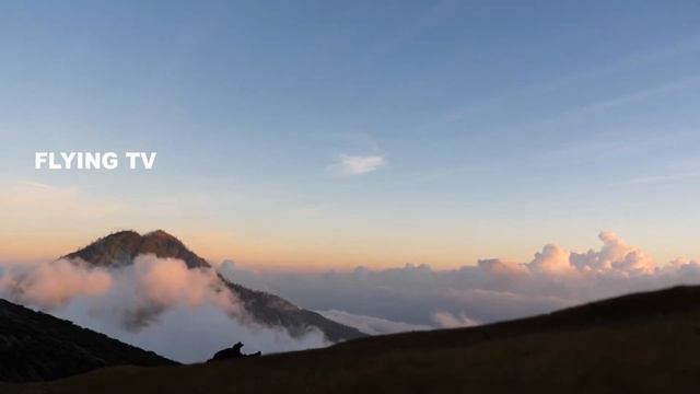 Travel To Java | Full History And Documentary About Java Indonesia In Urdu | جاوا کی سیر смотреть онлайн