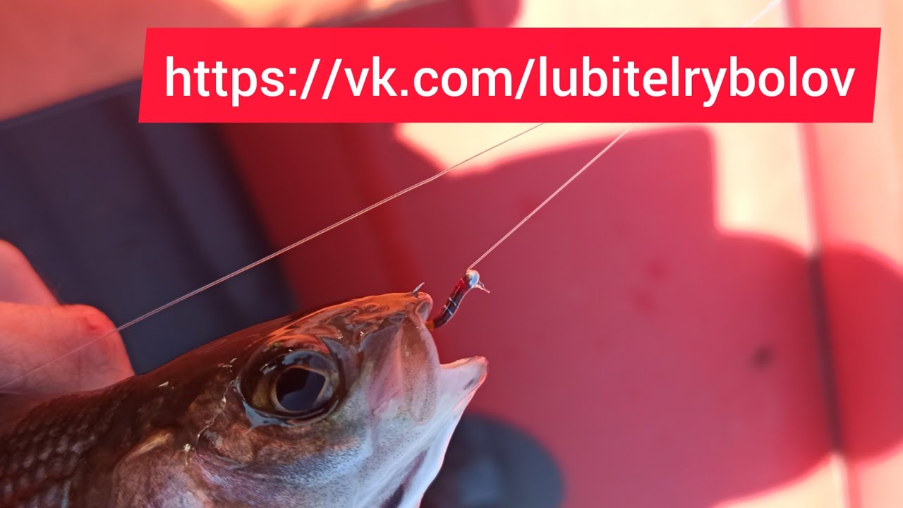 Изготовление рабочего комарика для ловли хариуса на Енисее смотреть онлайн