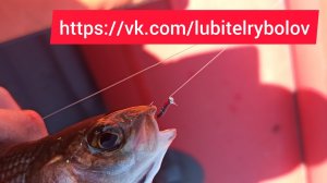 Изготовление рабочего комарика для ловли хариуса на Енисее