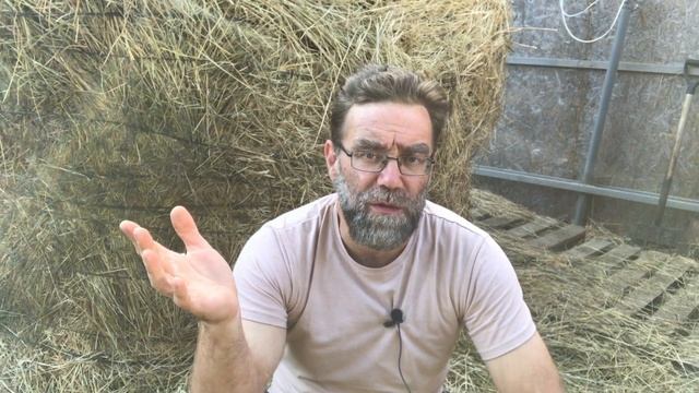 Раздуло корову - что делать? Подрезка копыт у коров. Часть 2 по спасению коров Девятки и Ласкуши. смотреть онлайн