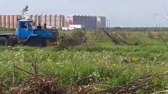 Выкорчевывание деревьев и мелколесья трактором смотреть онлайн