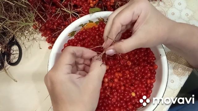 Калина она нас спасёт. смотреть онлайн