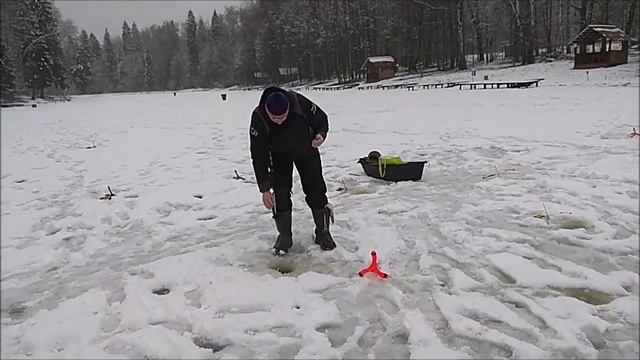 Поклёвок много, а вот реализация хромает. Клёвое место, Лосиный остров, верхний водоём. смотреть онлайн