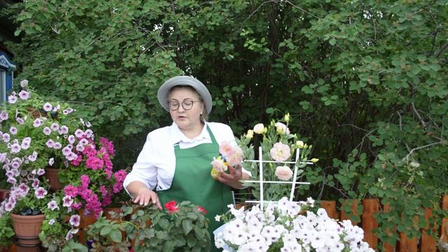 Как выращивать розы в горшках смотреть онлайн