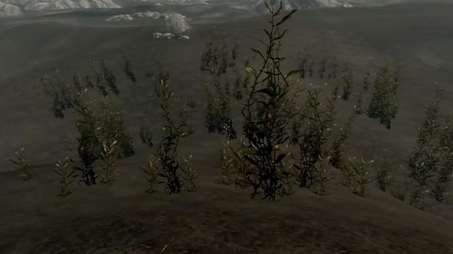 The Elder Scrolls V: Skyrim. Учебник «Ситис» 2. Прохождение от SAFa смотреть онлайн
