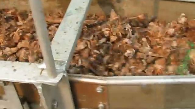 Переработка кедровых шишек. т.89135153009 смотреть онлайн