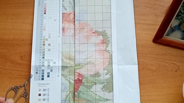 Новый старт / СП "Алиса в стране цветов" / Тюльпаны / Алиса / Другая жизнь с Ольгой смотреть онлайн