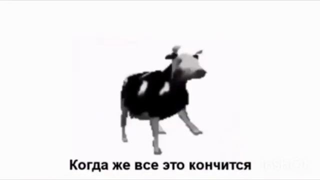 польская корова (перевод на русски)