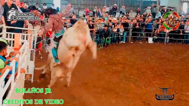 PEQUEÑO GUERRERO VS JIMADOR MARTINEZ RANCH смотреть онлайн