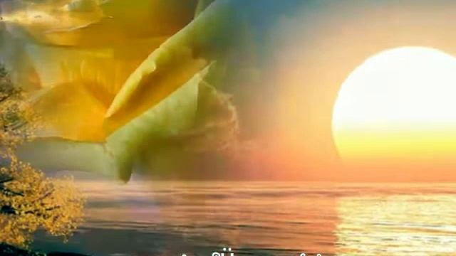 GIOVANNI MARRADI - TANGO DE ROSES / TANGO RÒŻ ???? смотреть онлайн